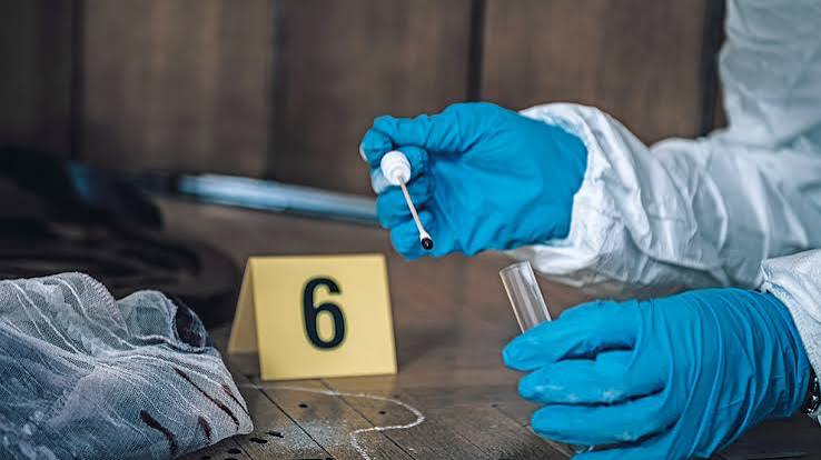Licenciatura en Ciencias Forenses